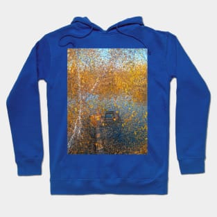 Silence at the Autumn Pond Hoodie